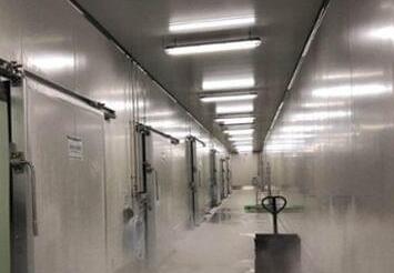 冷库造价多少一立方，关于LUTUBE官方版安装下载造价因素的相关知识